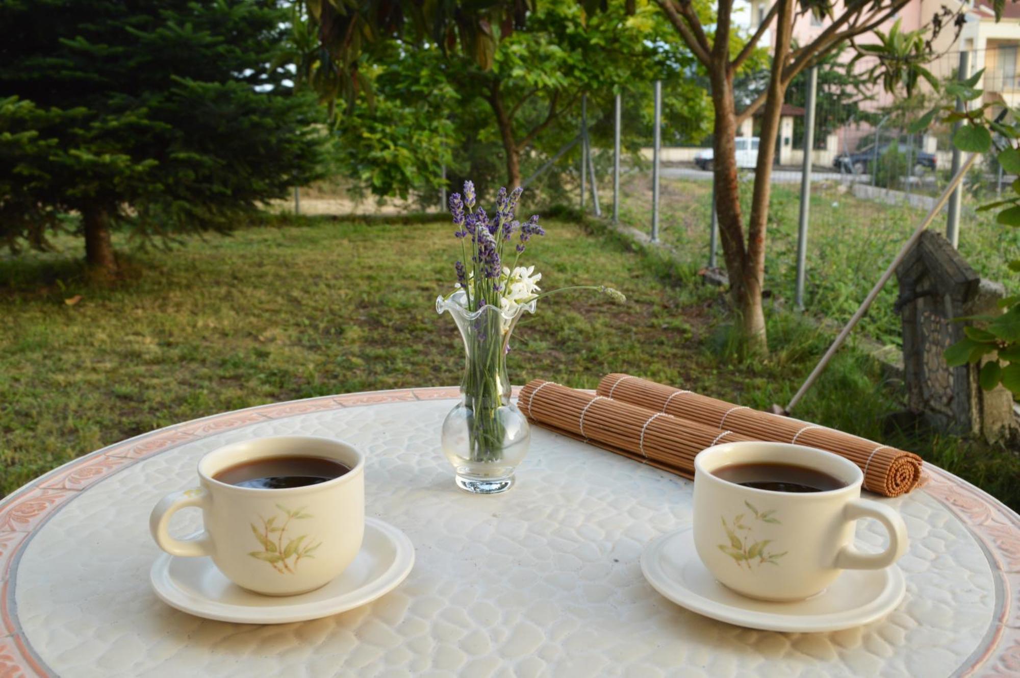 Sunny Retreat With A Garden Terrace Private Room Яніна Екстер'єр фото