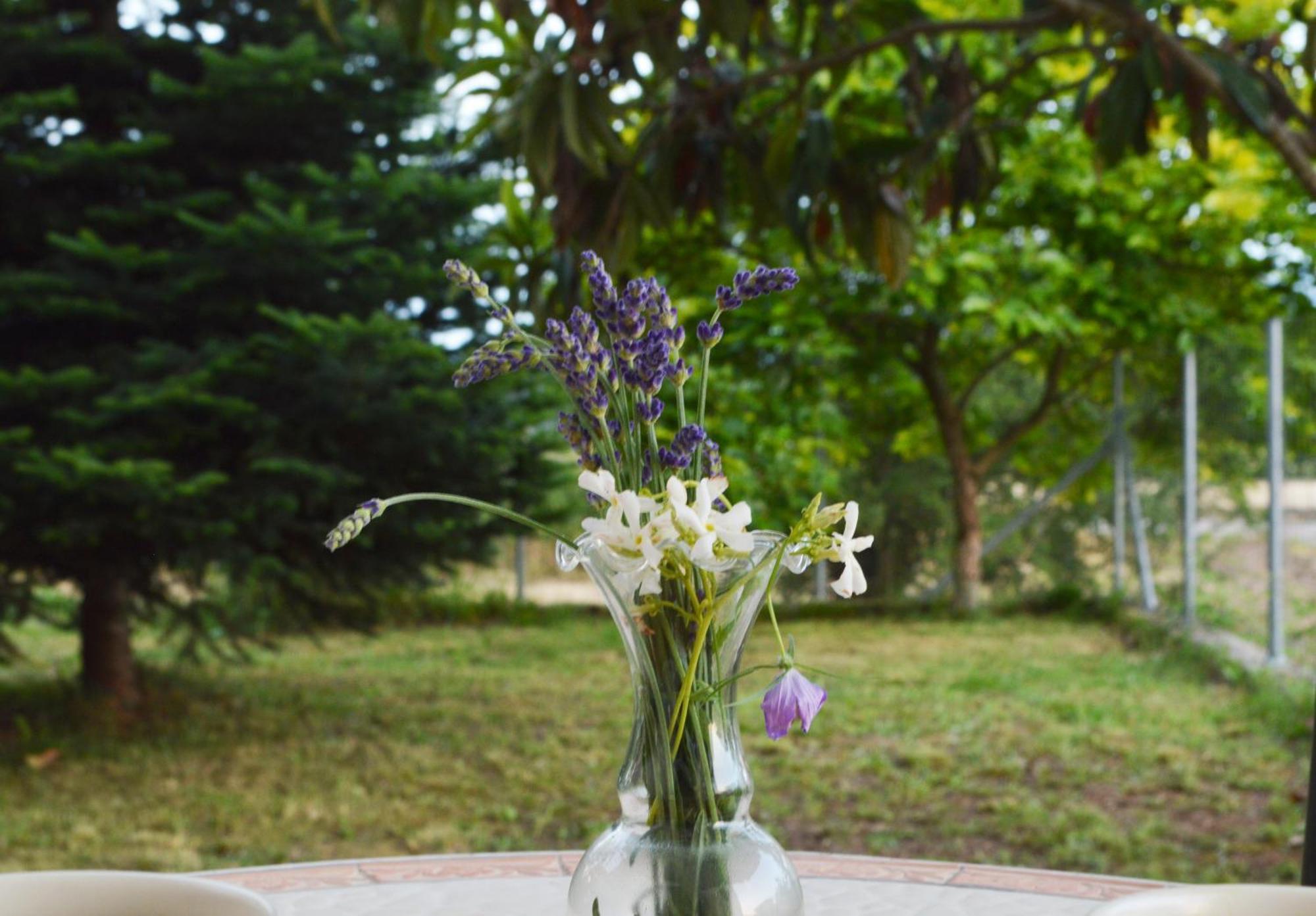 Sunny Retreat With A Garden Terrace Private Room Яніна Екстер'єр фото